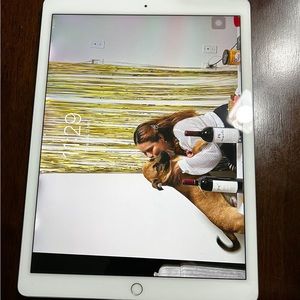 iPad Pro 12.9inch 2nd Generation